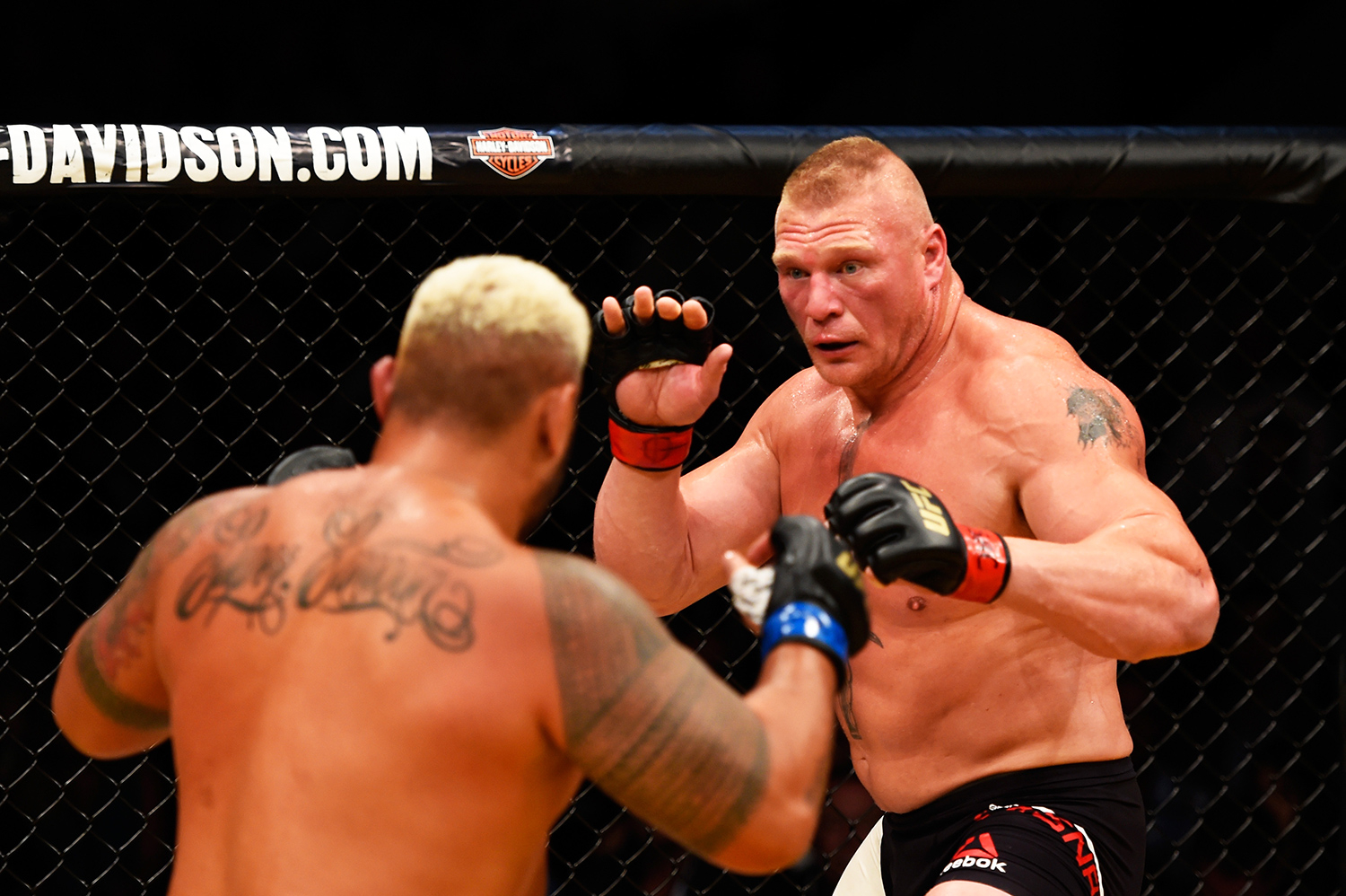 How Often Does the Favorite Win in UFC?