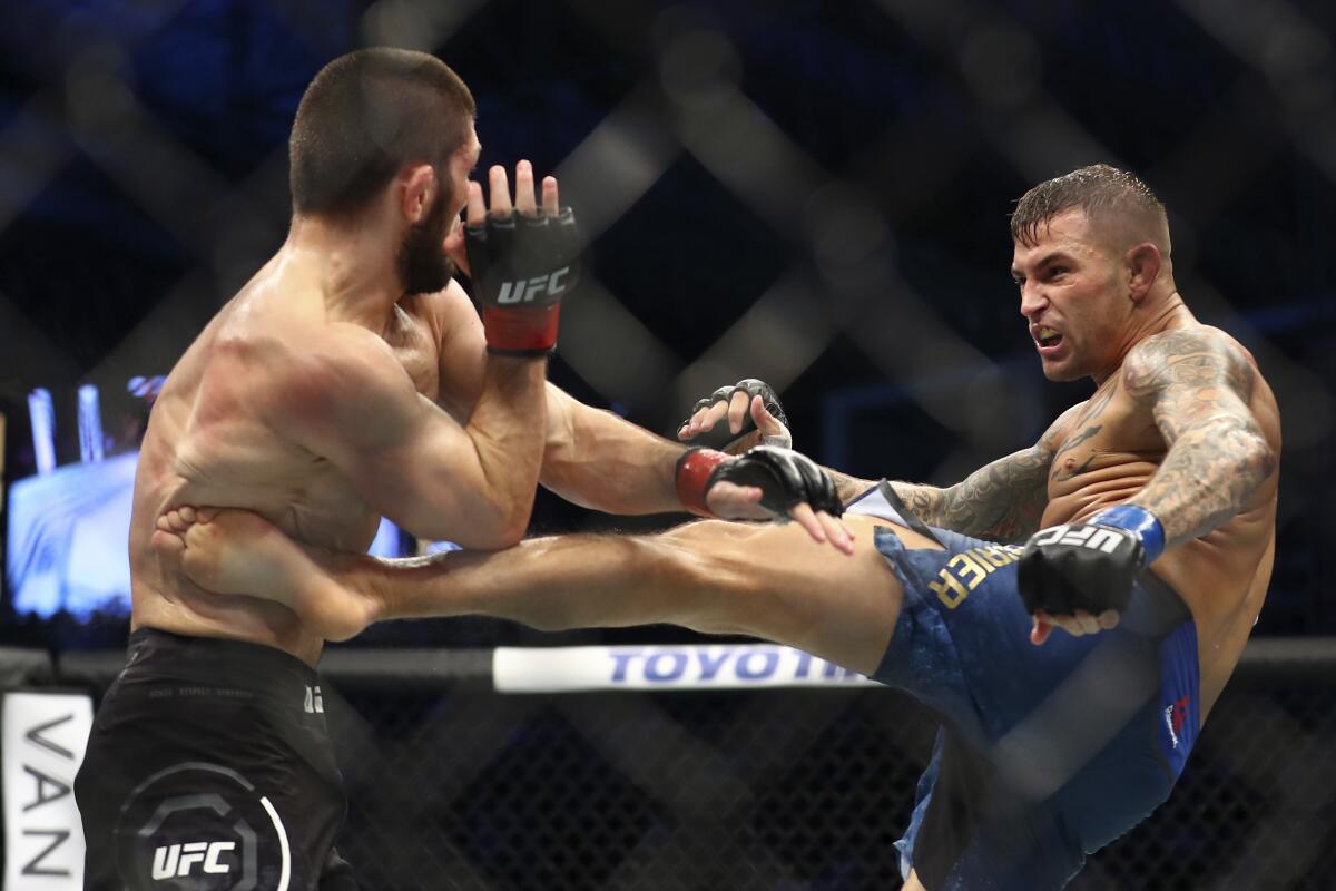 Why Do UFC (MMA) Fighters Do Cupping?