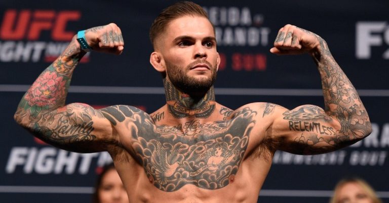 History of UFC Popularity in Germany