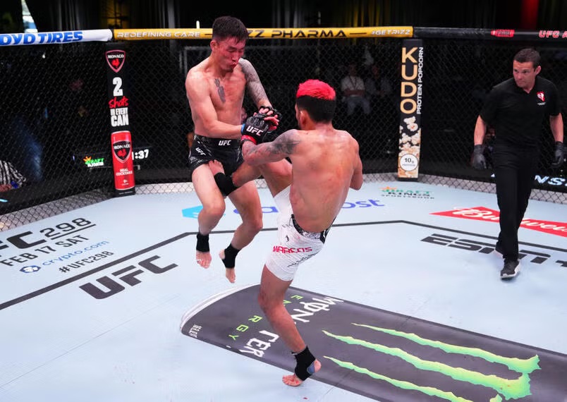 Illegal's moves in UFC