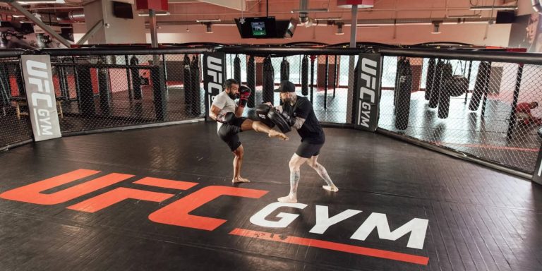 Most Popular UFC Gyms & MMA Training Centers in Germany